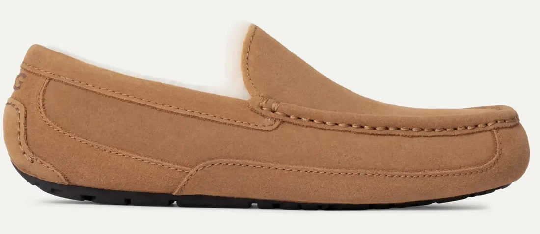 Brown loafer shoe on a light gray background